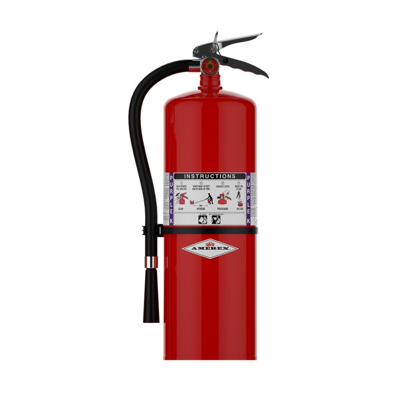Amerex® 415 Purple K Fire Extinguisher, 2O Pound, 120BC, With Wall Bracket, 01336 - WeSupplyIt.com