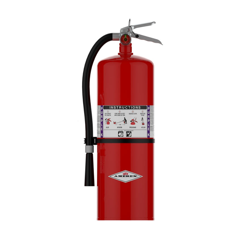 Amerex® A413 Purple K Fire Extinguisher, 2O Pound, 120BC, With Wall Bracket, 11215 - WeSupplyIt.com