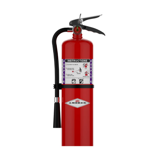 Amerex® B460 Purple K Fire Extinguisher, 1O Pound, 80BC, With Wall Bracket, 14965 - WeSupplyIt.com