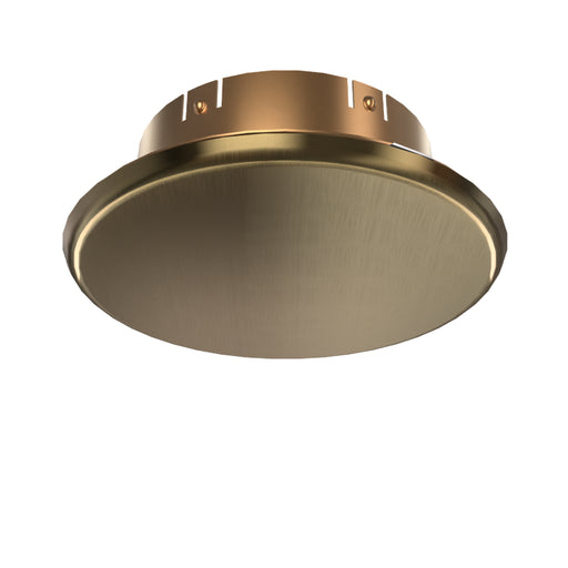 Viking® 23447 Label 23449A Concealed Push On Standard Fire Sprinkler Cover Plate Escutcheon, Antique Brass, 135 Degree Orange Label, 23447BA/A - WeSupplyIt.com