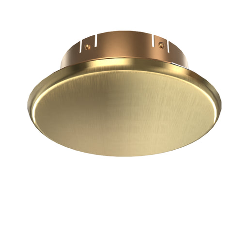 Viking® 23447 Label 23449A Concealed Push On Standard Fire Sprinkler Cover Plate Escutcheon, Brushed Brass, 135 Degree Orange Label, 23447BA/B - WeSupplyIt.com