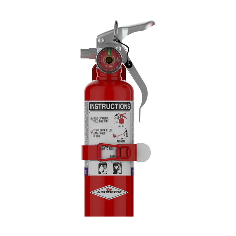 Amerex® 376T Purple K Fire Extinguisher, 1 Pound, 2BC, With Vehicle Bracket, 27540 - WeSupplyIt.com