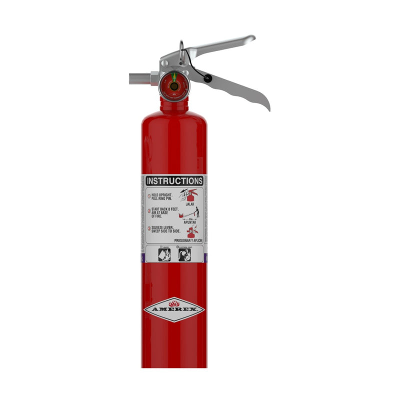 Amerex® 377 Purple K Fire Extinguisher, 2.5 Pound, 10BC, With Wall Bracket, 27541 - WeSupplyIt.com