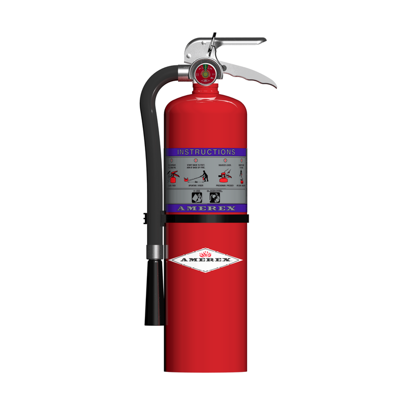 Amerex® 712 Z Series High Performance Compliance Flow Purple K Fire Extinguisher, 10 Pound, 80BC, With Wall Bracket, 27941 - WeSupplyIt.com