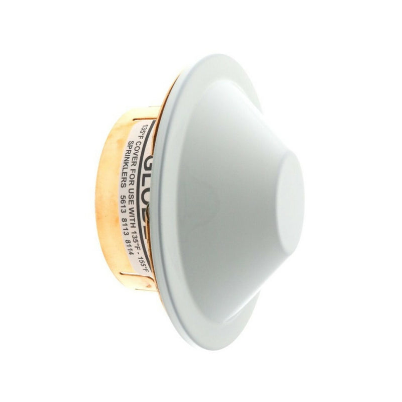 Globe Domed Concealed Fire Sprinkler Escutcheon For Horizontal Sidewall HSW, Black, 155 Degree 329491-B - WeSupplyIt.com