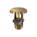 Viking® VK530, Model M, ELO, Special Application, 11.2K, Upright, SR, 3/4" NPT, Wax Coated Brass, 175 Degree, 09679CD Fire Sprinkler Head - WeSupplyIt.com