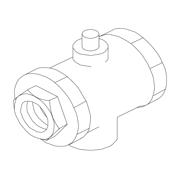Viking® 06579B Model A-2 Strainer Orifice Check Valve, 1/4" - WeSupplyIt.com