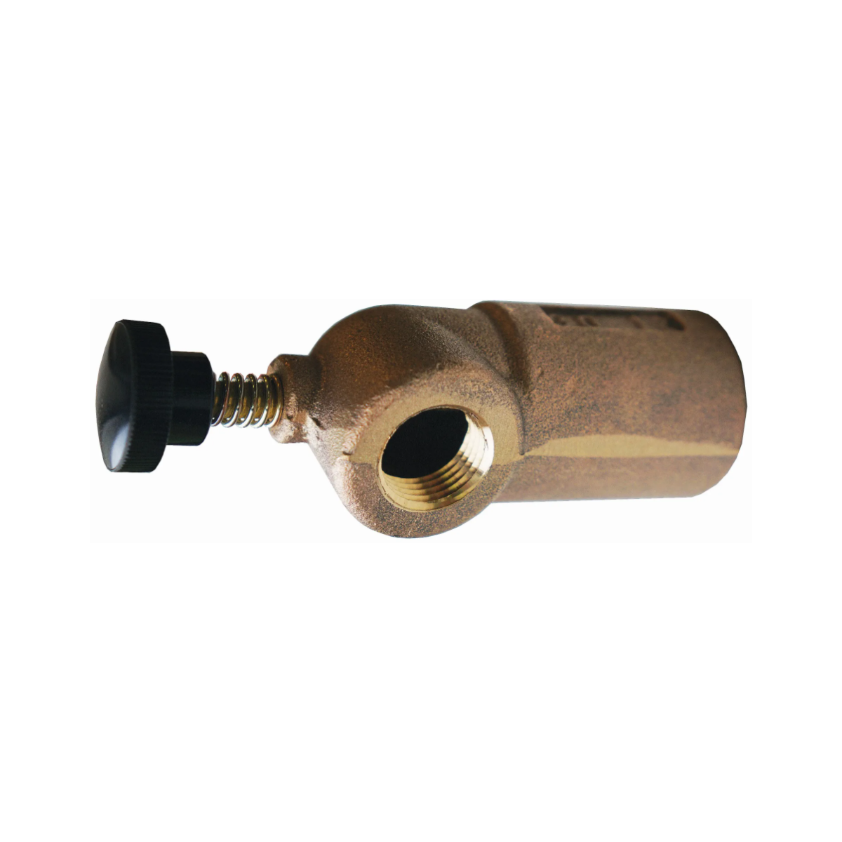 Viking® 10732 Model D-3 Drip Check Valve, Velocity Check, 3/4