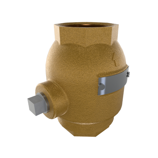 Viking® 10667 Model K-1 In-Line Check Valve, Threaded, 2" - WeSupplyIt.com