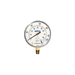 Viking® VWATERSF Water Gauge Silicone Free 0-300 PSI, 1/4" - WeSupplyIt.com
